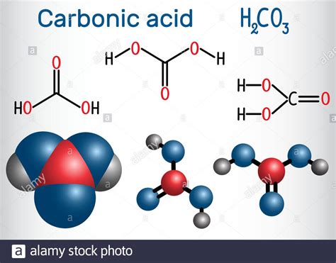 carbonic acid definition geography